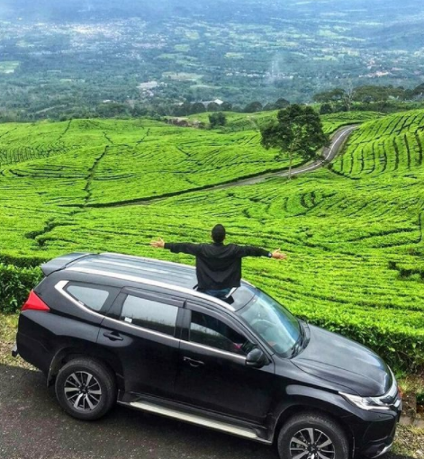 Kenapa Banyak Orang Sukses Pilih Mitsubishi Pajero Sport? Ternyata Ada Alasan Positifnya! 