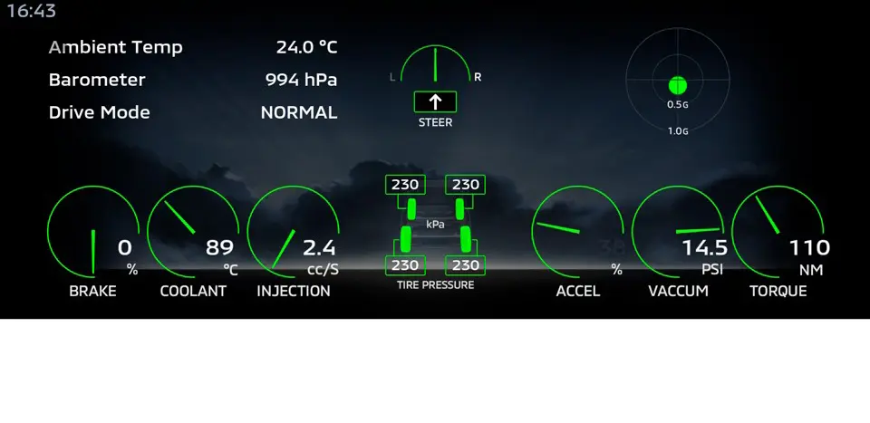 Completed Vehicle Information